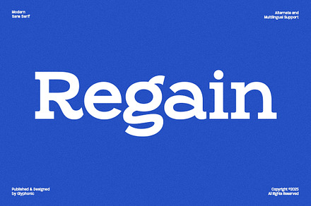 GC Regain - Display Bold Slab Serif, a Slab Serif Font by Glyphonic