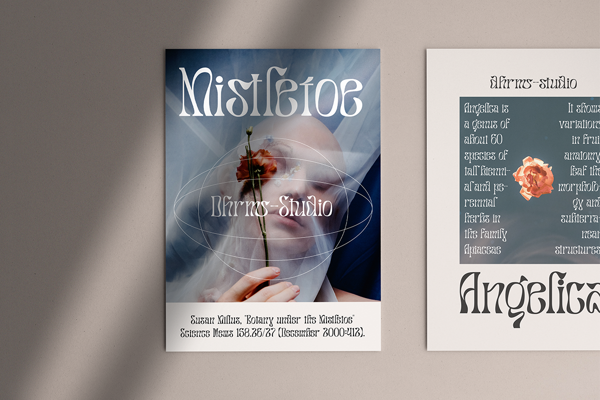 Salty Mussy - Quirky Twisted Display, a Sans Serif Font by Dharmas Foundry (Photo 10 of 15)