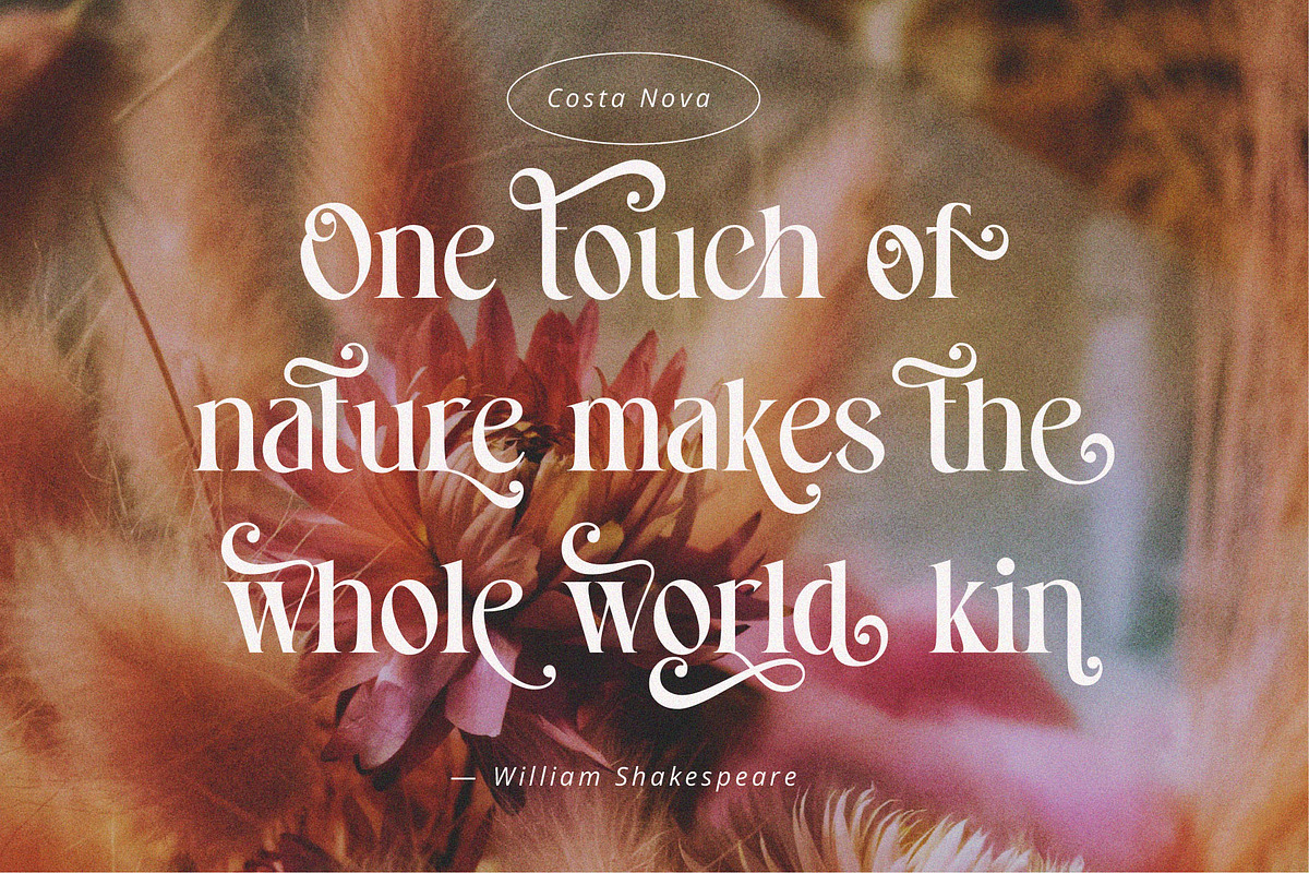 Costa Nova || display Ligature serif, a Serif Font by ToniStudio (Photo 4 of 12)