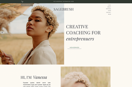 Wix Website Template - Boho Coach, a Wix Template by pinesandpearls