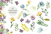 Watercolor Floral Collection, an Illustration by OlgaSerbun (Thumbnail 2 of 8)