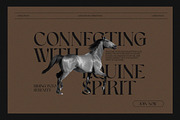 Pixora - Elegant Classy Serif, a Serif Font by Luna Shop (Thumbnail 4 of 8)