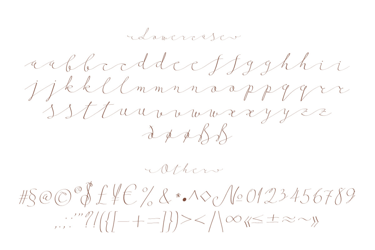 Follow script, a Script Font by Fontop (Photo 9 of 9)