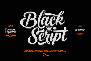 Black Script -12 Fonts Extras Pack