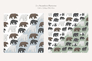 Bear Species Set - Hand-drawn PNGs, an Animal Illustration by LaurenFittonIllustration (Thumbnail 4 of 10)