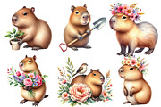 Capybara  Watercolor Clipart, an Illustration by Designworld (Thumbnail 3 of 5)