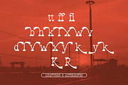 Badamy | Slab Serif Font, a Slab Serif Font by Denustudios (Thumbnail 12 of 14)