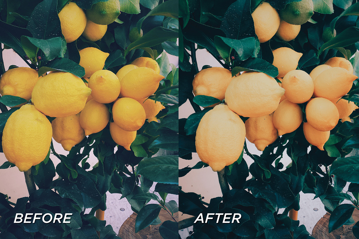 5 Sunflower Lightroom Presets, a Preset Add-On by TheWayfarerShoppe (Photo 3 of 7)