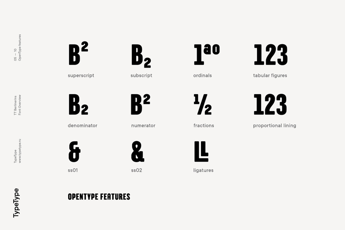 TT Berlinerins, a Sans Serif Font by TypeType (Photo 5 of 15)