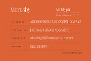 Moresby - Aesthetic Serif Typeface, a Serif Font by Get Studio (Thumbnail 7 of 11)