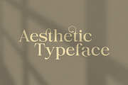 Singlest - Sophisticated Serif, a Serif Font by Jimoji (Thumbnail 7 of 11)