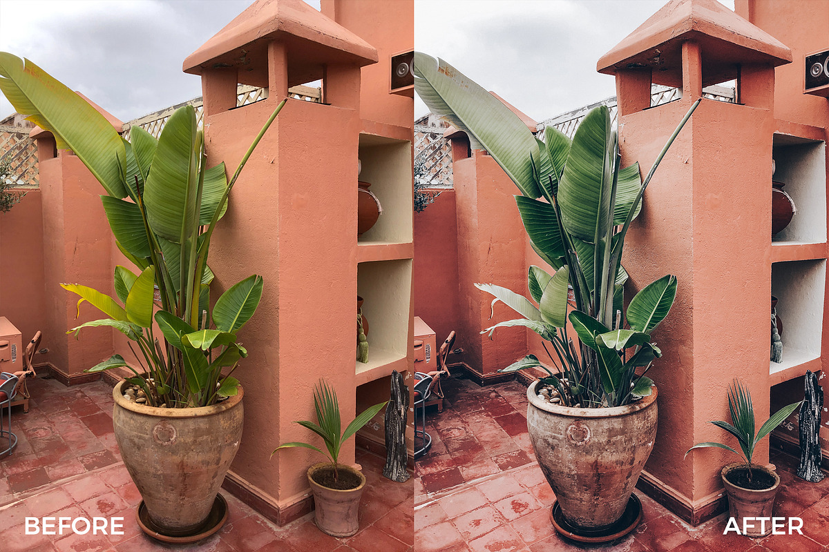 Blush & White Lightroom Presets, an Action Add-On by in between details (Photo 13 of 38)