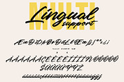 Luminash - Raw Brush Script Font, a Script Font by Inviline.co (Thumbnail 10 of 12)