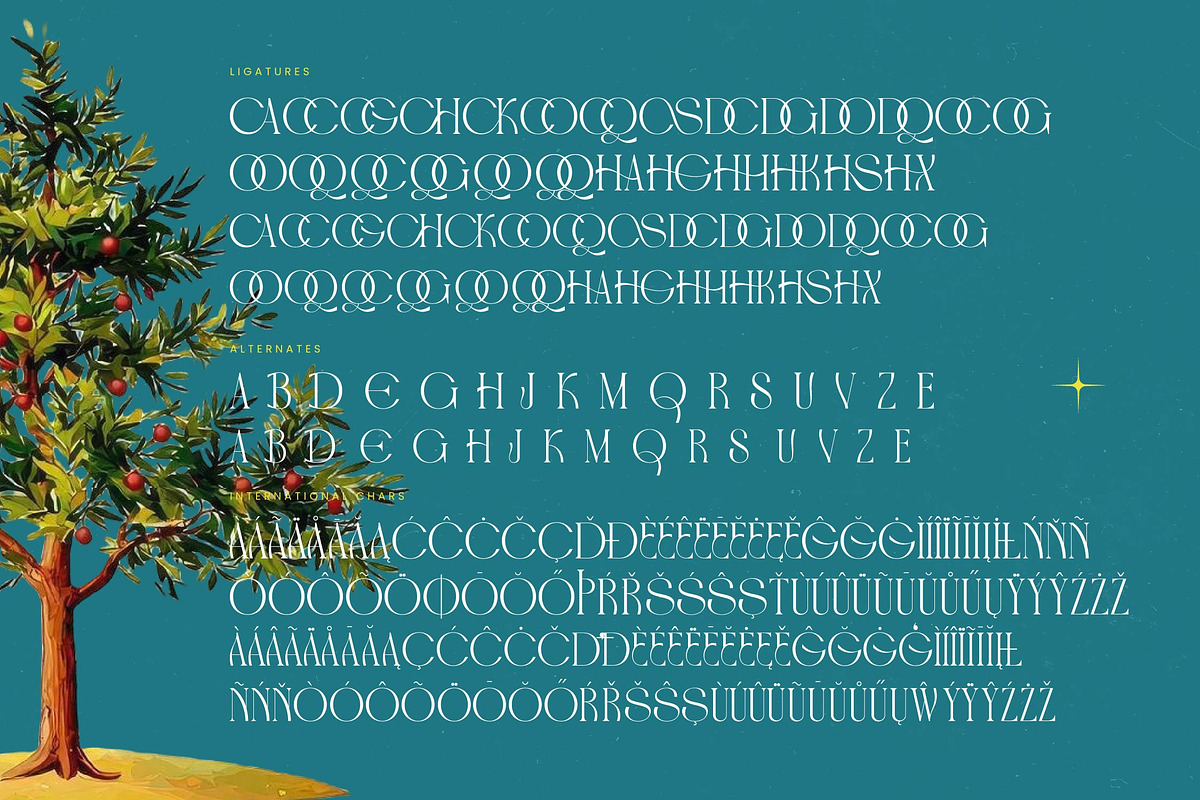 Havens Brooke Editorial Serif, a Serif Font by timelesstype.co (Photo 19 of 20)