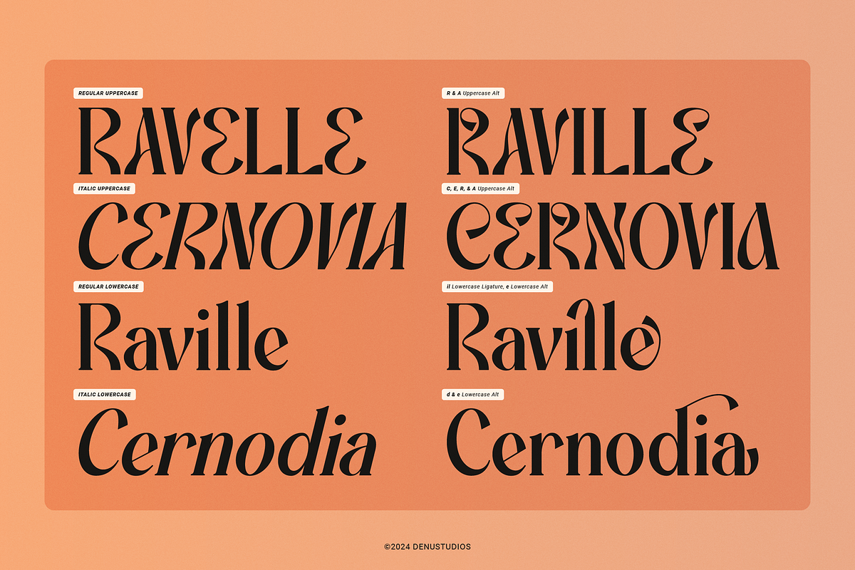 Promised Freyna Modern Display Serif, a Serif Font by Denustudios (Photo 5 of 13)