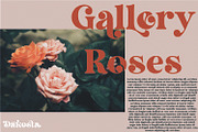 Dakosta | Retro Serif Typeface, a Serif Font by MchCrafter (Thumbnail 7 of 15)