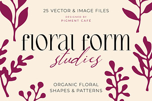 Floral Form Studies Shapes & Pattern