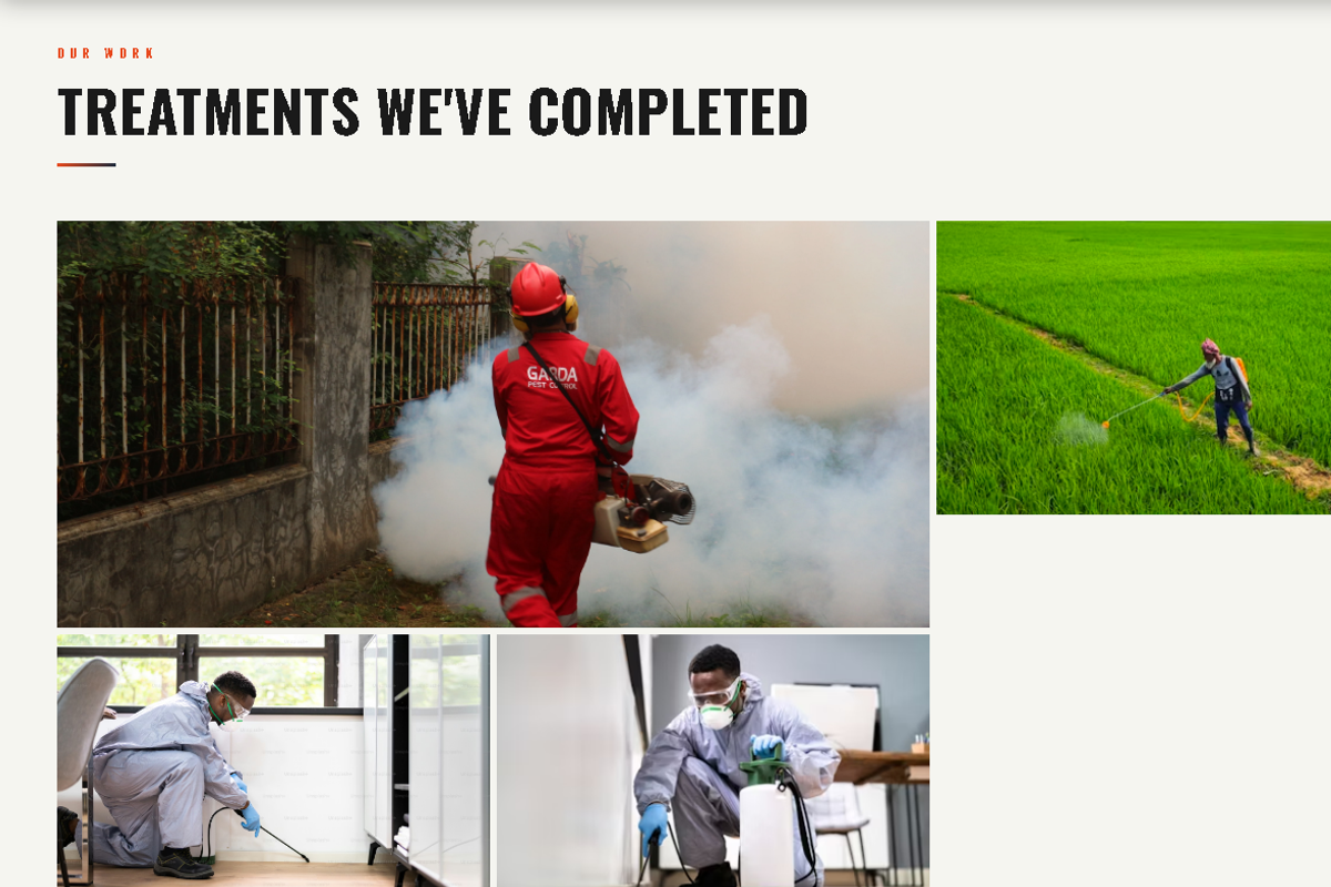 Pest Control Template Editable, a HTML Template by DigitalsDesigns (Photo 3 of 4)