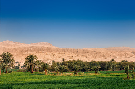 Green field and mountains egypt featuring egypt, farm, and palm