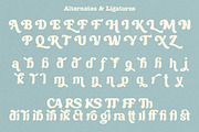 Brown Wager - Chunky Retro Bold Font, a Serif Font by Shakira Studio (Thumbnail 12 of 12)