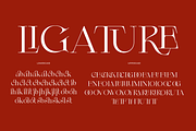 Gellovik, a Serif Font by zaaintype (Thumbnail 3 of 10)