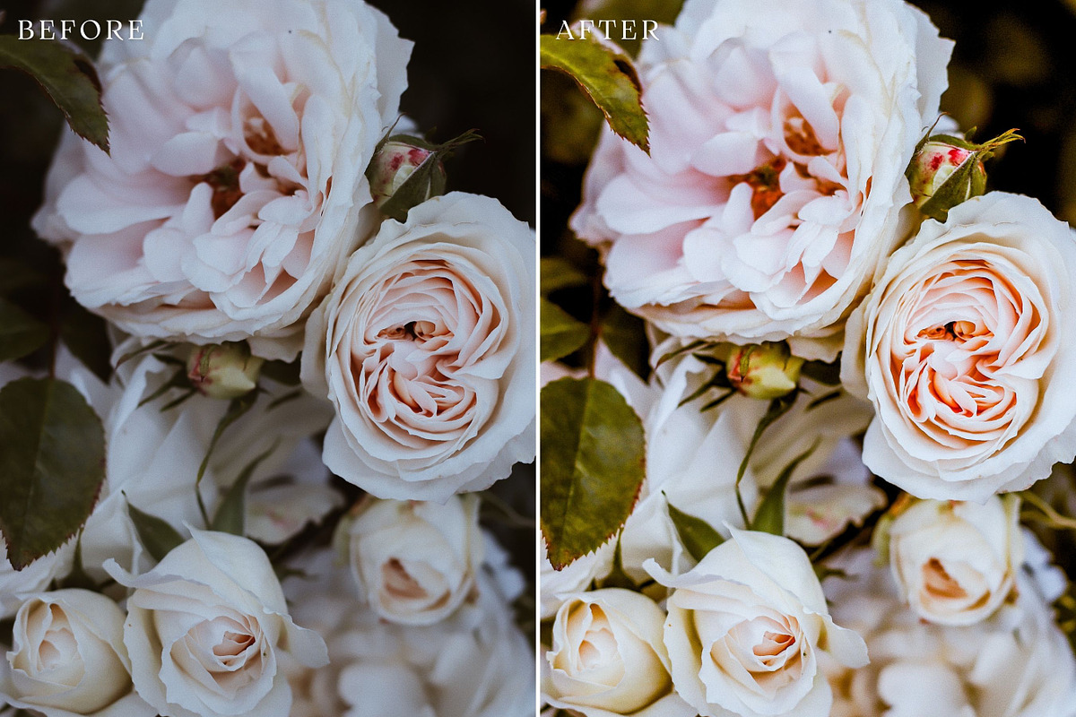 Floral Lightroom Presets, a Layer Style Add-On by Rapita Photography© (Photo 5 of 11)