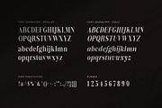 New Back Elegant Family Serif Font, a Serif Font by Perfectype (Thumbnail 8 of 8)
