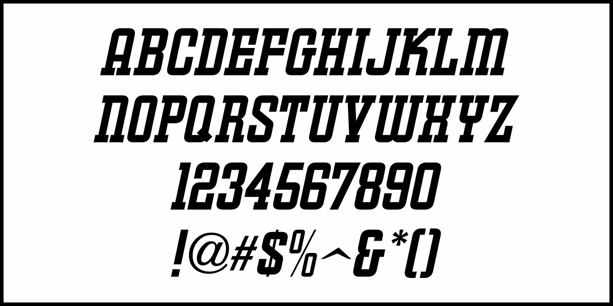 Training Film JNL, a Slab Serif Font by Jeff Levine Fonts (Photo 5 of 5)