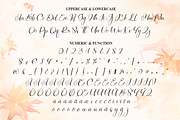 Autumn | Script Font, a Handwritten Font by Scratchones (Thumbnail 7 of 8)