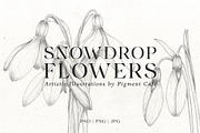 Snowdrop Flowers & Card Templates, an Illustration by Pigment Café (Thumbnail 1 of 8)