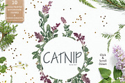 Catnip, a Texture Illustration by Soir Creative | Creative Market