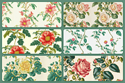 Floral Patterns, a Pattern Graphic by Unio Designs (Thumbnail 6 of 12)
