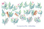 Banana blossom plants Watercolor set, an Illustration by Shabbypie (Thumbnail 6 of 13)