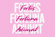 Show Your Dignity | 03 Font, a Handwritten Font by Metasena Typefoundry (Thumbnail 6 of 10)