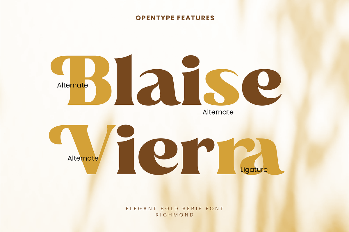 Richmond, a Serif Font by Umitype (Photo 9 of 10)