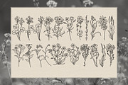 Floral Line Art Collection, a Decorative Illustration by heyXeni (Thumbnail 11 of 12)