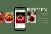 55 Aesthetic Tomatoes Stock Photos, a Food & Drink Photo by Incomelion (Thumbnail 2 of 13)