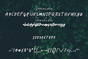 Meadowlark Script Font