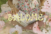 BALOME | Curvy Display Font, a Handwritten Font by ana & yvy (Thumbnail 12 of 12)