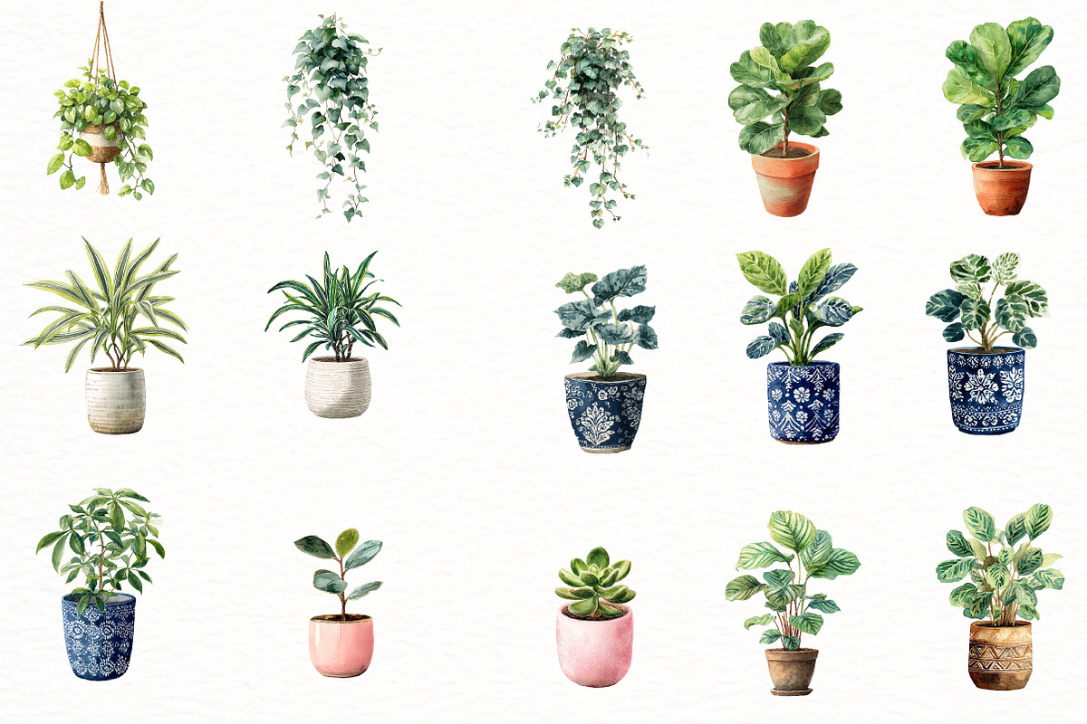 House Plant Plant Lovers clipart, an Illustration by Designworld (Photo 4 of 8)