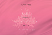 Nattalia Sillena, a Script Font by Integritype Studio (Thumbnail 11 of 15)