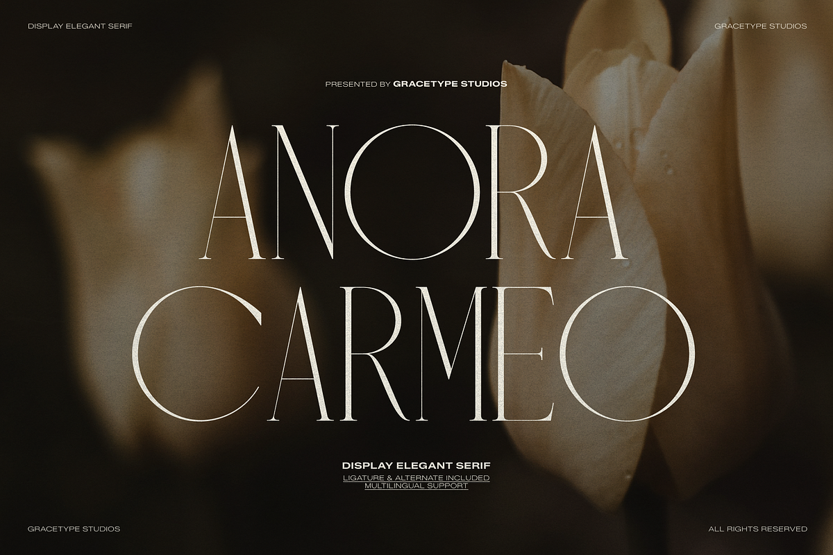 Anora Carmeo | Display Elegant Serif, a Font by gracetype_studio (Photo 1 of 12)