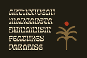 Degres - Psychedelic Display Family, a Serif Font by Holyline Design (Thumbnail 11 of 14)
