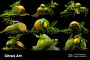Citrus Art - 25 images, a Food Illustration by Handmadefont (Thumbnail 6 of 10)