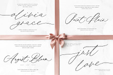 Wedding Calligraphy Font Duo Bundle