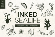 INKED SEALIFE hand drawn vector set, an Animal Illustration by Lena Nikolaeva (Thumbnail 1 of 11)