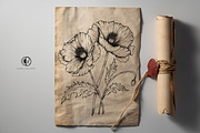 Poppy Flowers Line Art SVG, an Object Graphic by Dervik Art Store (Thumbnail 4 of 7)