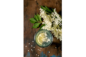 Elderflower drink with fresh white, a Food & Drink Photo by Natasha Breen
