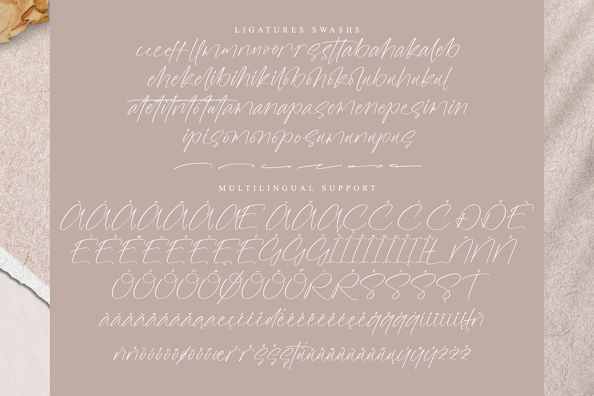 Rusttesa Freshlis, a Handwritten Font by operatype.co (Photo 14 of 15)