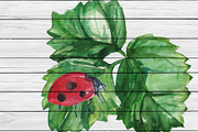 Watercolor Strawberry Clip art, a Food Illustration by DollyPotterson (Thumbnail 7 of 8)